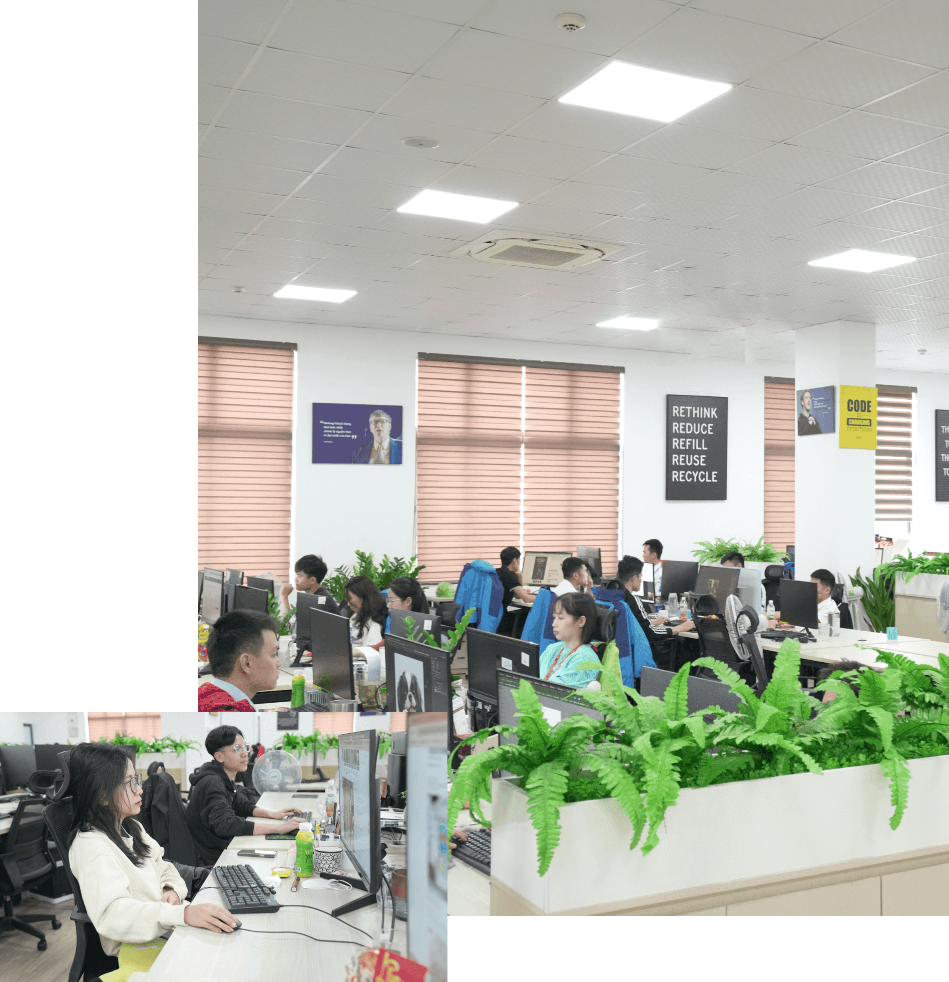 Marketing team
